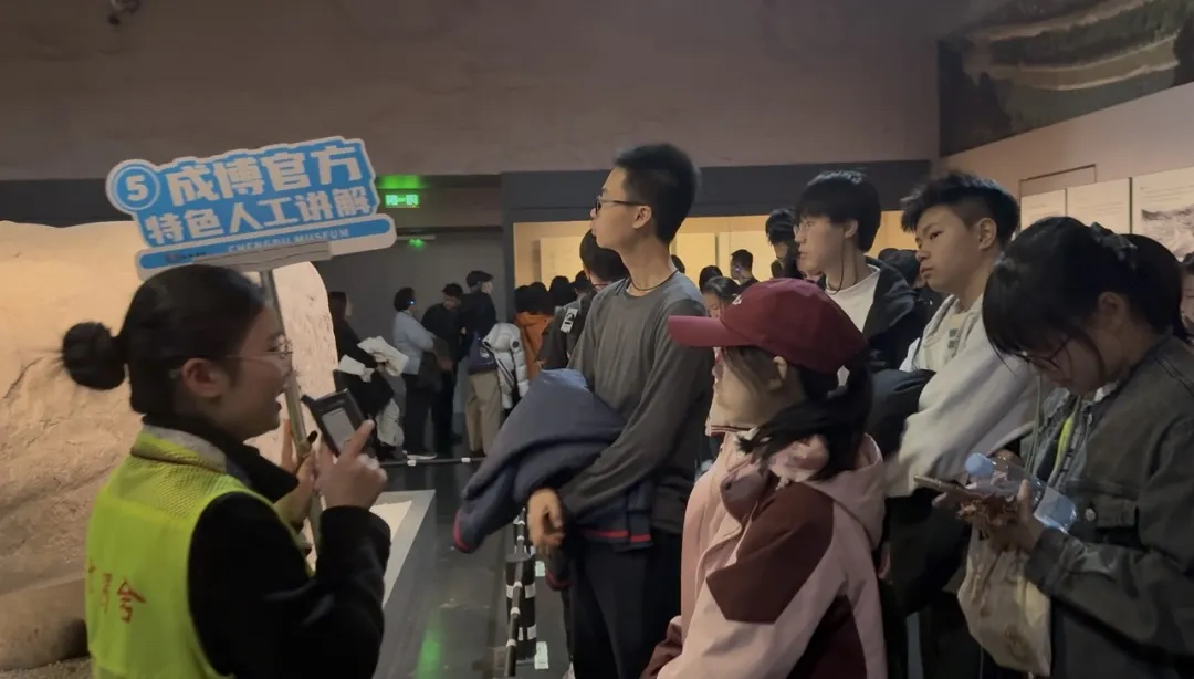 1765174392777351.jpg 1765174392777351.jpg