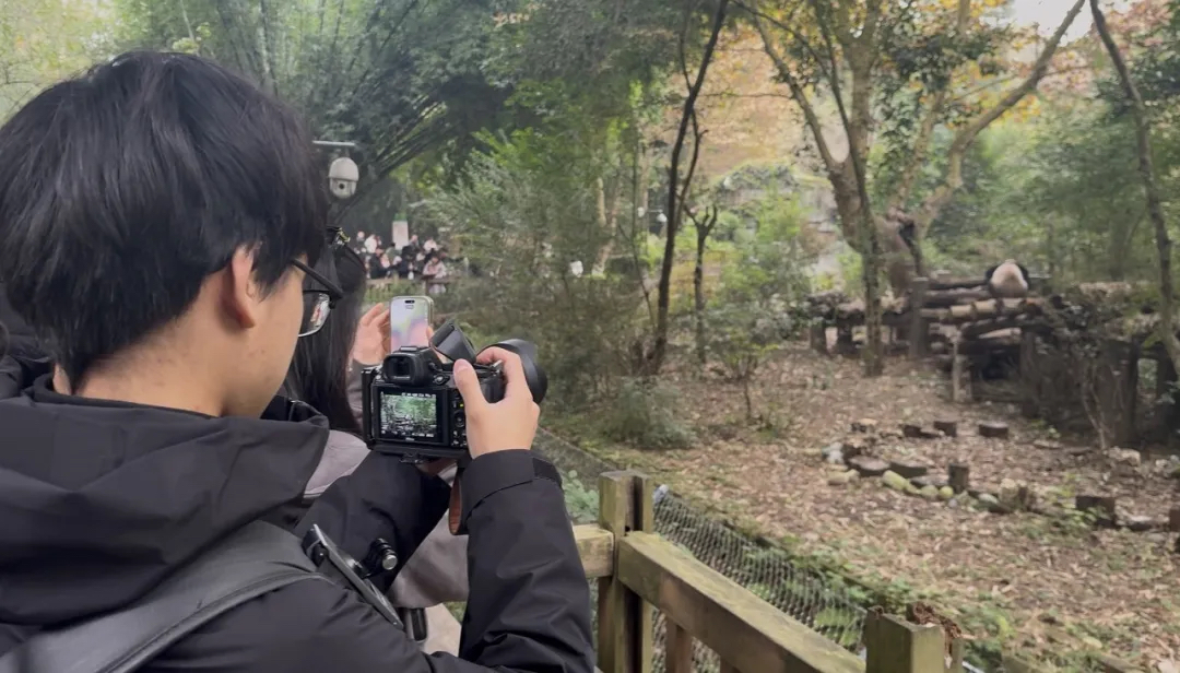 1765174398945004.jpg 1765174398945004.jpg