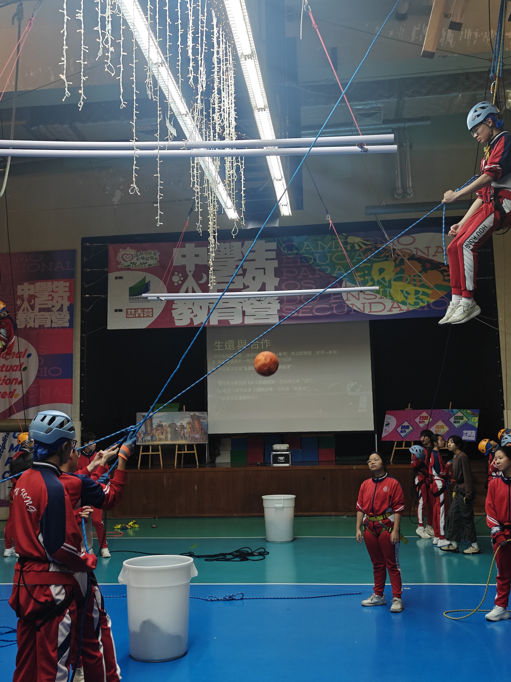 1768871290281193.jpg 1768871290281193.jpg