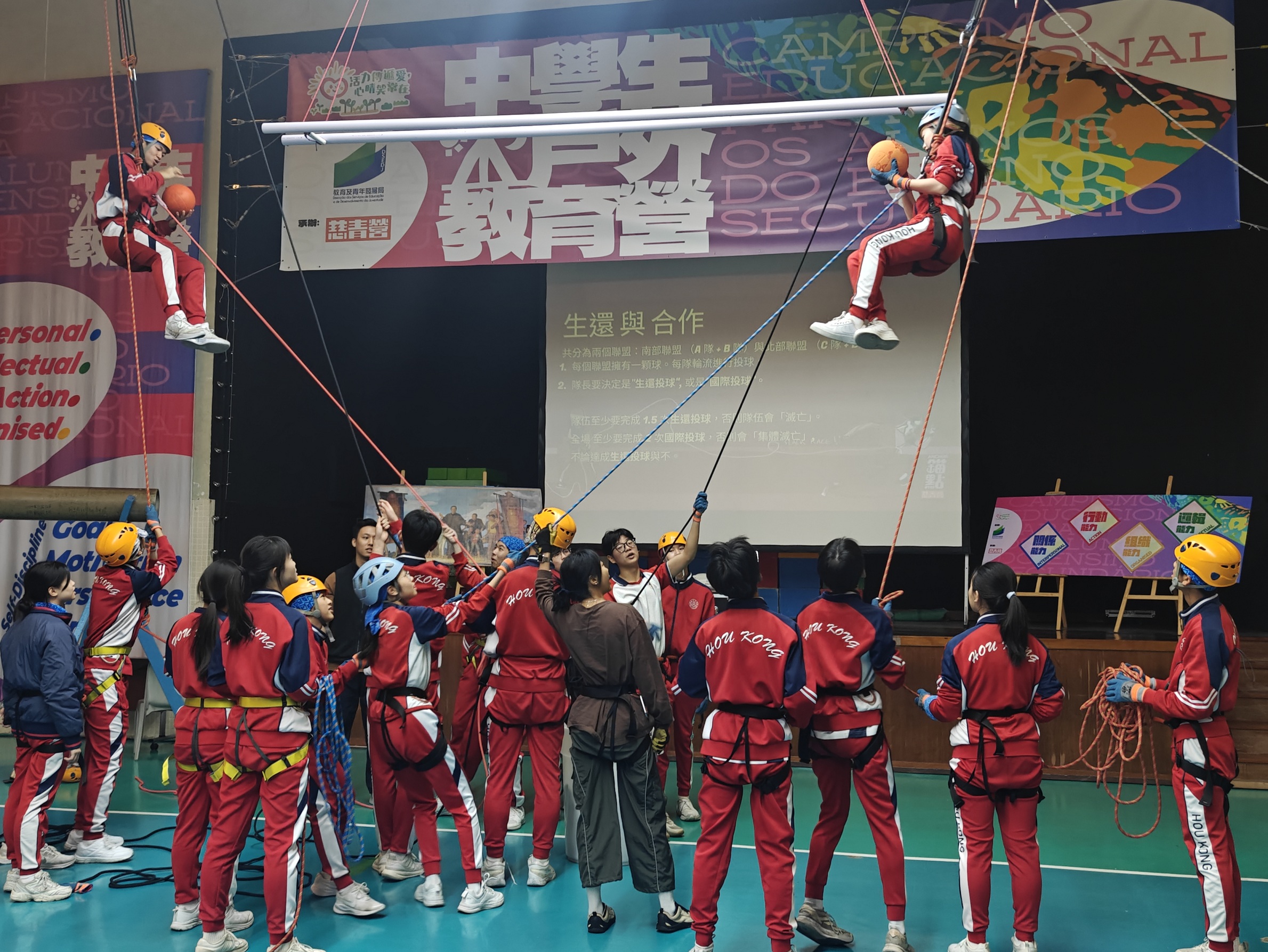 1768871337381986.jpg 1768871337381986.jpg