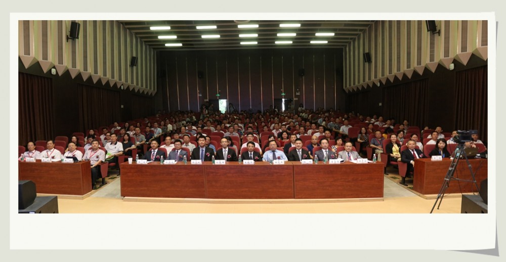 粵港澳大灣區教師聯合會成立