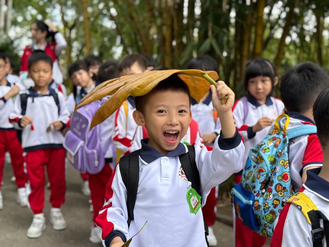 1762409384488117.jpg 640 (3).jpg