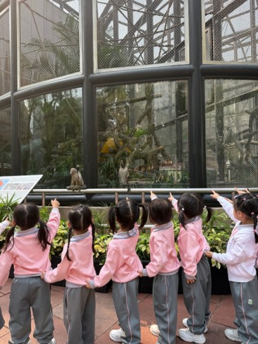 與熊貓的快樂約會